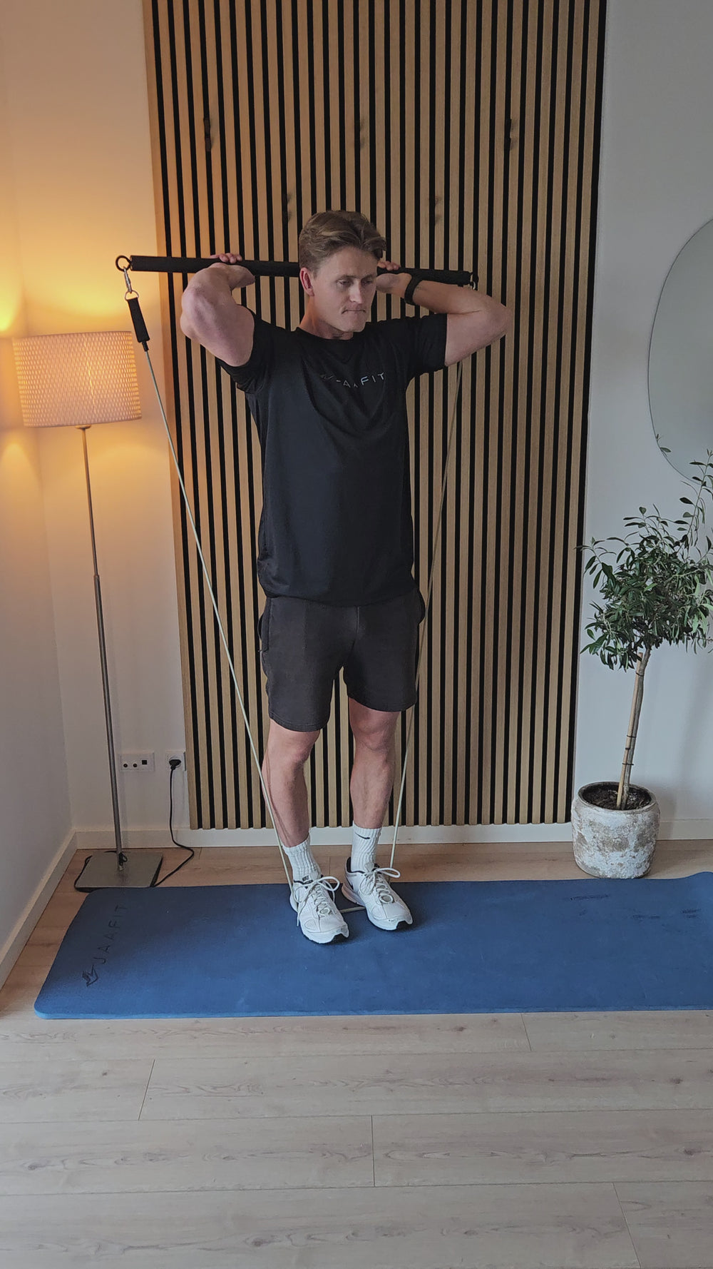 Extension triceps au-dessus de la tête